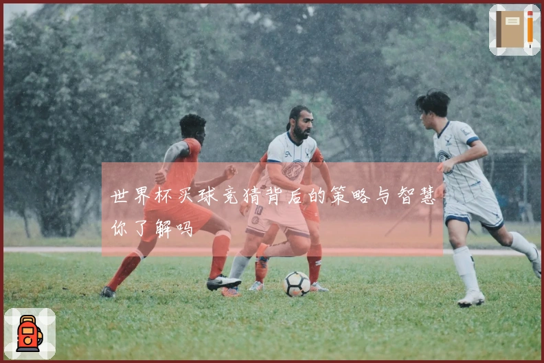 世界杯买球竞猜背后的策略与智慧你了解吗