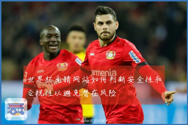 世界杯竞猜网站如何判断安全性和合规性以避免潜在风险