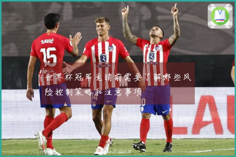 世界杯冠军竞猜前需要了解哪些风险控制策略和注意事项