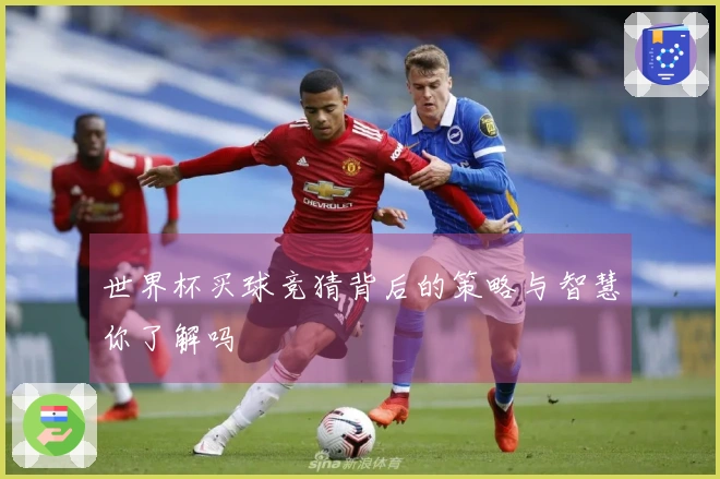 世界杯买球竞猜背后的策略与智慧你了解吗