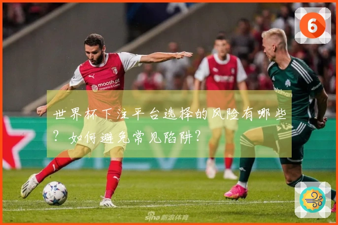 世界杯下注平台选择的风险有哪些？如何避免常见陷阱？